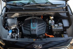 2020 Niro EV