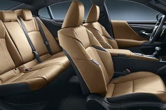 Lexus-ES-hybridacoustics-performance-thumbnail-429x322-LEX-ESG-MY19-0088_M75