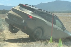 Dirt-1