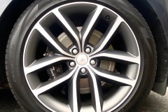 IMG_5603