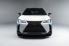 Lexus-UXh-250h
