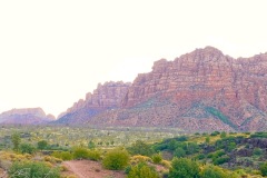 IMG_5752