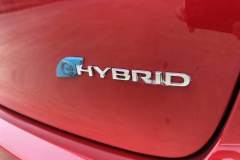 Hybrid-Badge