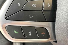 Steering-Wheel-Controls-Left-Side