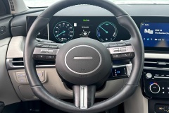 Steering-Wheel-Controls