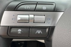 Steering-Wheel-Left-Controls