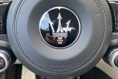 Steering-Wheel-Button
