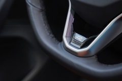Tiguan-Steering-Wheel