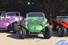 Meyers Manx