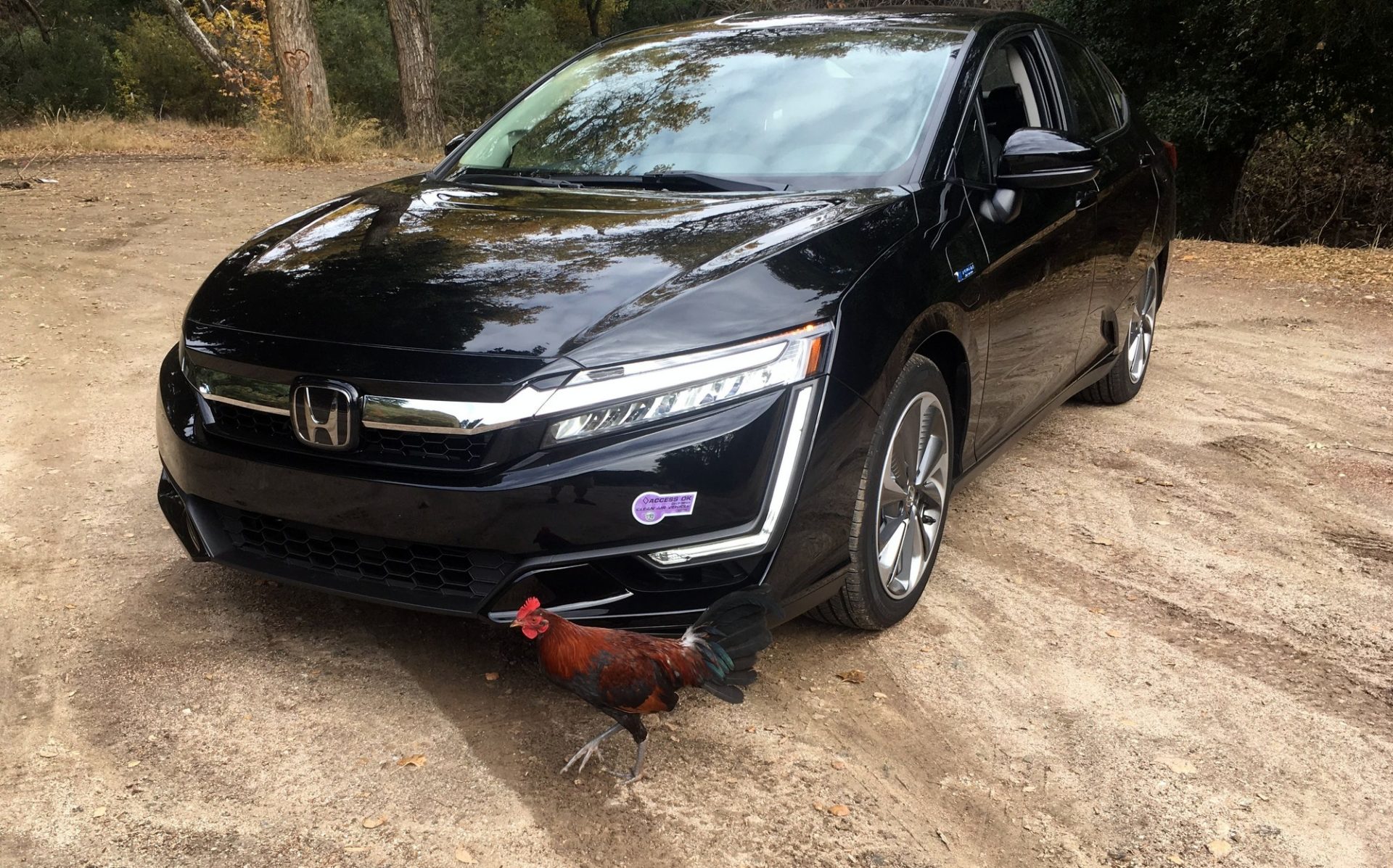 2019 Honda Clarity Plug-in Hybrid PHEV