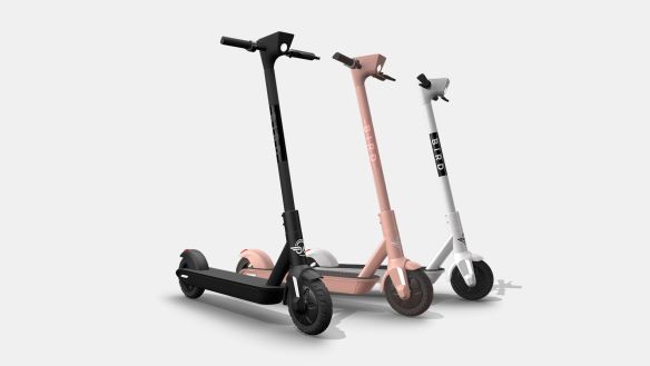 Bird electric scooters