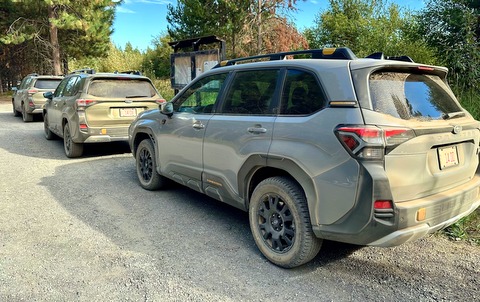 2026 Subaru Forester Wilderness