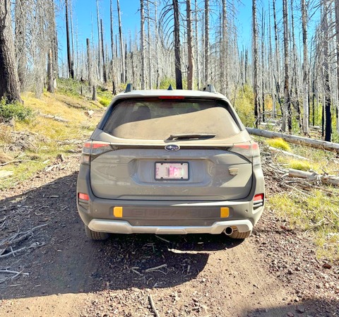 2026 Subaru Forester Wilderness