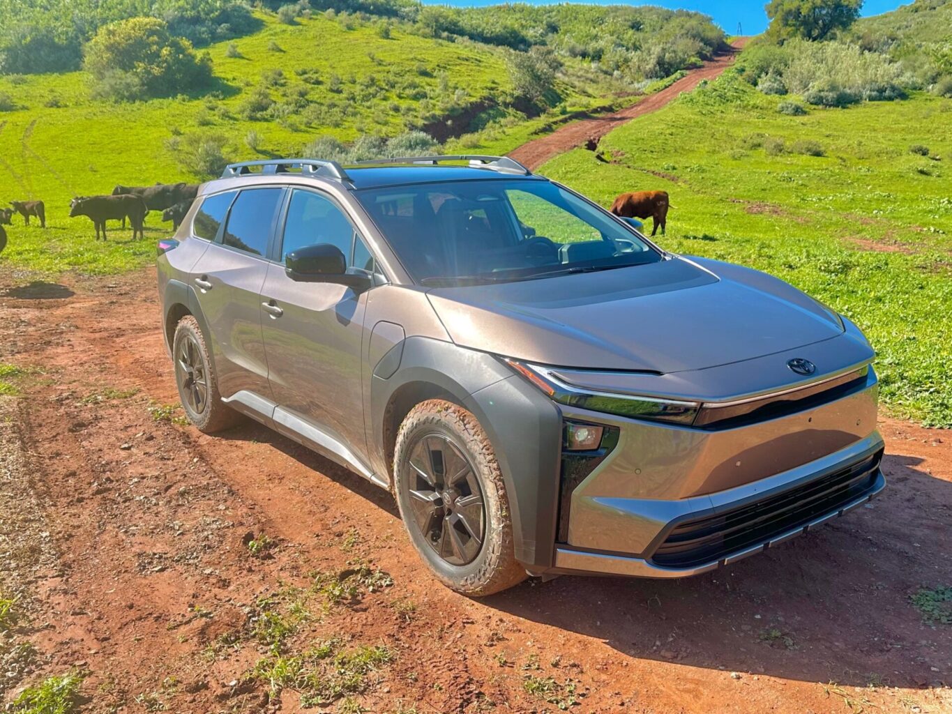 2026 Toyota BZ Woodland