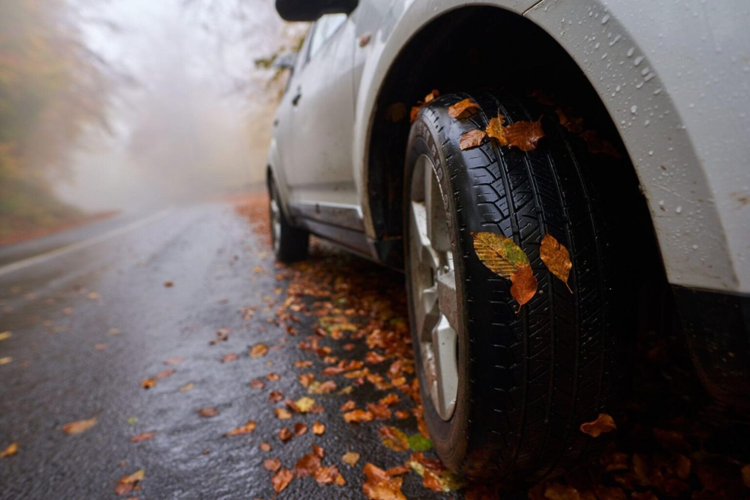 Finding Your Go-To Tire Shop for Seasonal Tire Changes